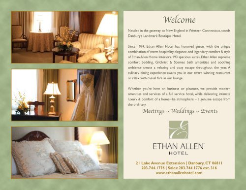 Ethan Allen Hotel ebook