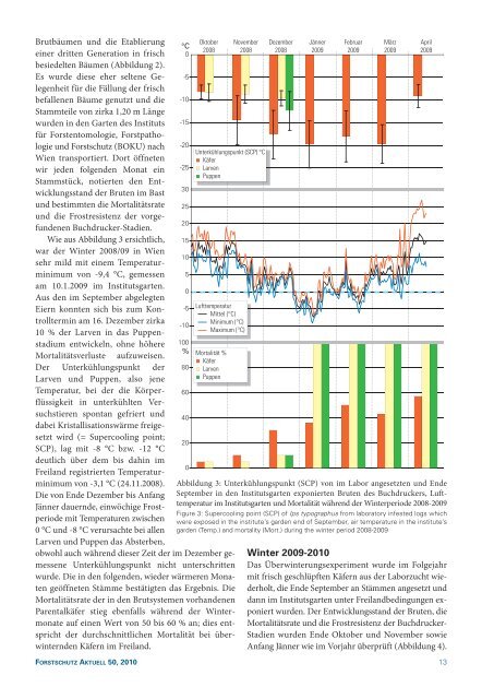 Kronenschäden bei Lärchen in Österreich weit verbreitet - BFW