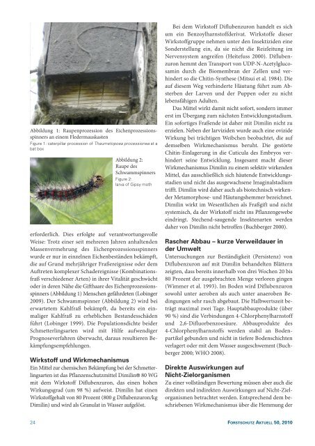 Kronenschäden bei Lärchen in Österreich weit verbreitet - BFW