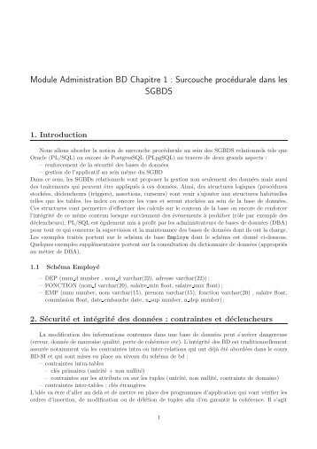 Module Administration BD Chapitre 1 : Surcouche ... - Lirmm