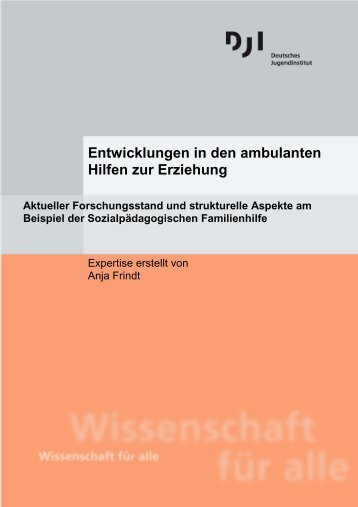 1 Entwicklungen in den ambulanten Hilfen zur Erziehung