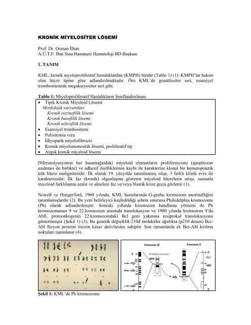 KRONİK MİYELOSİTER LÖSEMİ Prof. Dr. Osman İlhan A.Ü.T.F. İbni ...