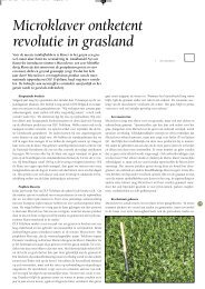 Microklaver ontketent revolutie in grasland - dlf-trifolium