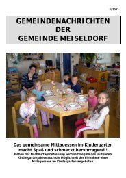 Download - Gemeinde Meiseldorf