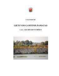 Lietuvos gamtinis pamatas - Vilniaus universitetas