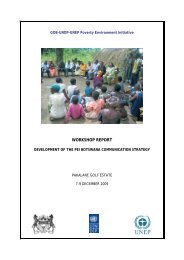 WORKSHOP REPORT - UNDP-UNEP Poverty Environment Initiative