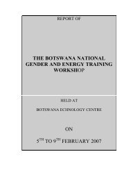 The Botswana Gender and Energy Training Workshop - HEDON ...