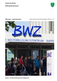 Einsam – gemeinsam Jahresbericht Schuljahr 2010 - BWZ Rapperswil