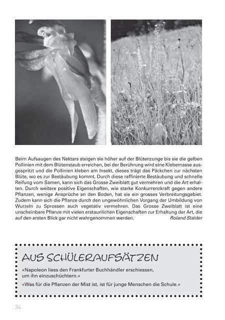 Ausgabe 188 - SAC Sektion Randen