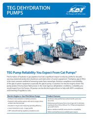 TEG DEHYDRATION PUMPS - Cat Pumps