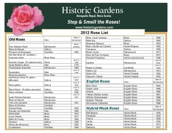 Hybrid Musk Roses - Historic Gardens