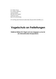 Vogelschutz an Freileitungen