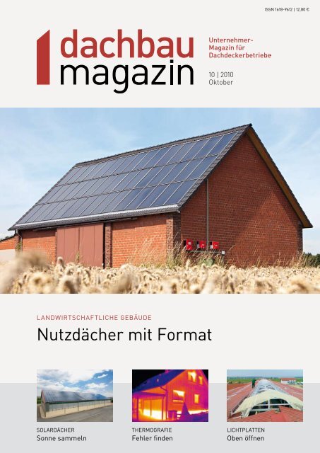 nutzdächer mit format - Dachbaumagazin