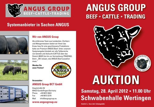 AUKTION - Donaumoos Angus