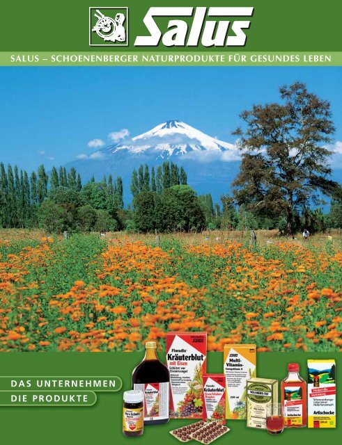 Phytotherapie zum Abnehmen von Baumtomatensaft