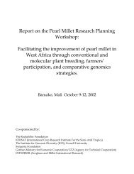 Pearl Millet planning Workshop - McKnight Foundation ...