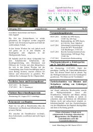 Ausgabe Nr. 8 - Marktgemeinde Saxen