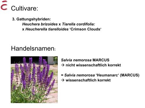 International Code of Names for Cultivated Plants - Studieren in ...