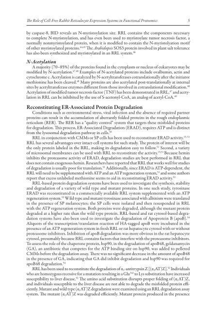 The Role of Cell-Free Rabbit Reticulocyte Expression ... - Promega