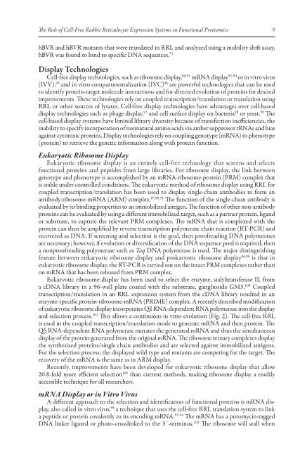 The Role of Cell-Free Rabbit Reticulocyte Expression ... - Promega