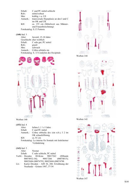 "Dissertation zur Erlangung des Grades eines Doktors der ...