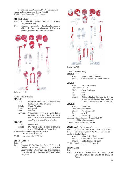 "Dissertation zur Erlangung des Grades eines Doktors der ...