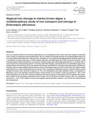 Ectocarpus siliculosus - Journal of Experimental Botany