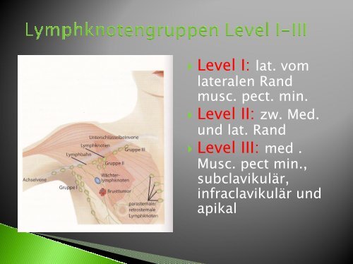 Physiologie der Lymphgefäße