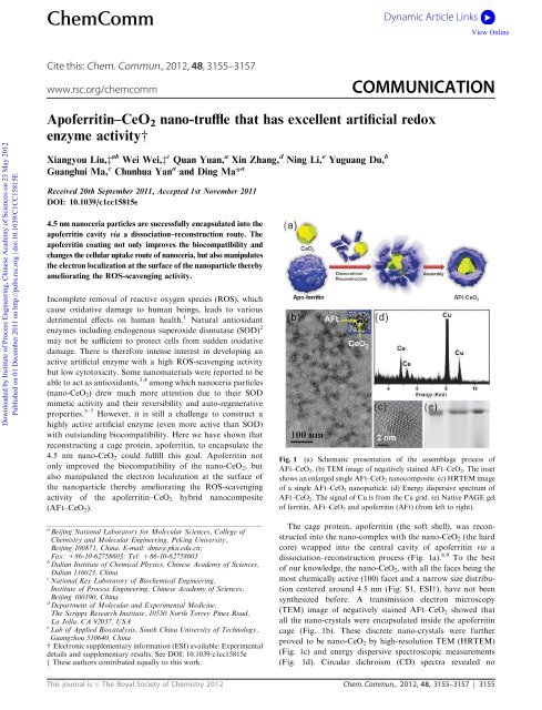 Apoferritin–CeO2 nano-truffle that has excellent artificial redox ...