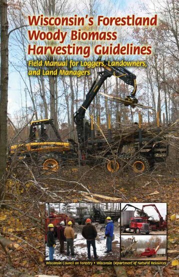 Wisconsin's Forestland Woody Biomass Harvesting Guidelines