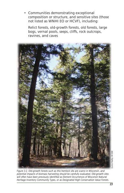 Wisconsin's Forestland Woody Biomass Harvesting Guidelines