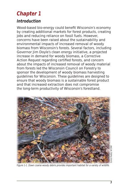 Wisconsin's Forestland Woody Biomass Harvesting Guidelines