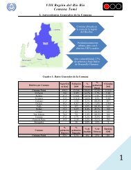 VIII Región del Bío Bío Comuna Tomé - Oit