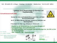 Vortrag als ppt - file vom 31.III.2006 - IB GmbH