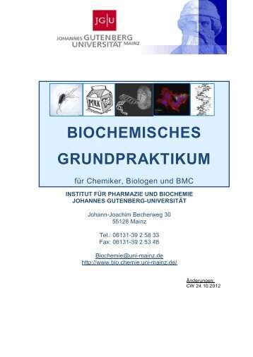 BIOCHEMISCHES GRUNDPRAKTIKUM - in der Biochemie