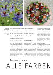 Bio garten - Gartenbauschule Hünibach