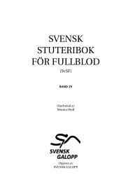 Stamboken band 29 - Svensk Galopp