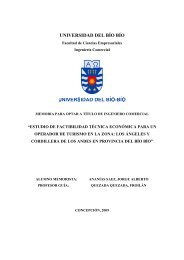 capitulo i - Universidad del Bío-Bío