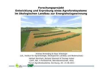 Entwicklung und Erprobung eines Agroforstsystems im ökologischen