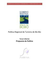 Política Regional de Turismo de Bío Bío - Gobierno Regional de la ...