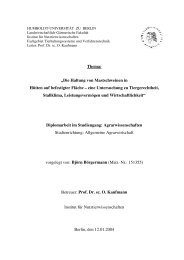 Björn Börgermann - an der Landwirtschaftlich-Gärtnerischen Fakultät