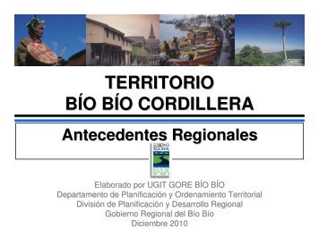 TERRITORIO BÍO BÍO CORDILLERA