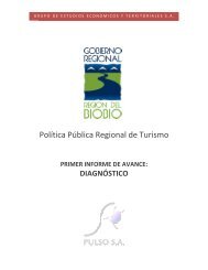 Informe Diagnostico - Gobierno Regional de la Region del Bio Bio