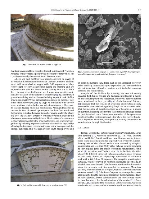 Biofouling of crypts of historical and architectural interest at La Plata ...