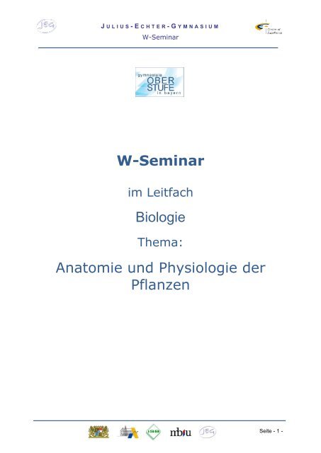 Beispiel für ein W-Seminar - Julius-Echter-Gymnasium