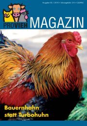 Gewichtsverlust zwischen lebendem und geschlachtetem Huhn Gewichtsverlust zwischen lebendem und geschlachtetem Huhn