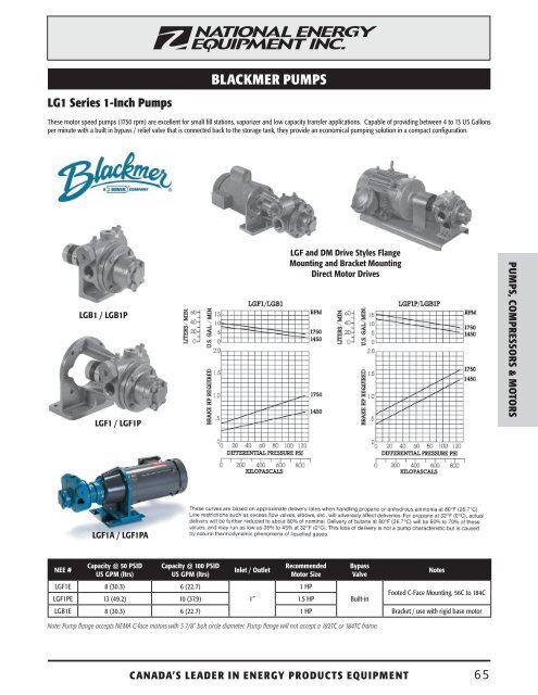 BLACkMER PUMPS - National Energy Equipment