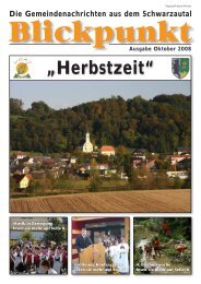 Blickpunkt 3-08.pdf - Marktgemeinde Wolfsberg im Schwarzautal