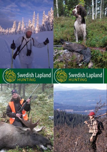 Jagd in Swedish Lapland – der letzten Wildnis Europas