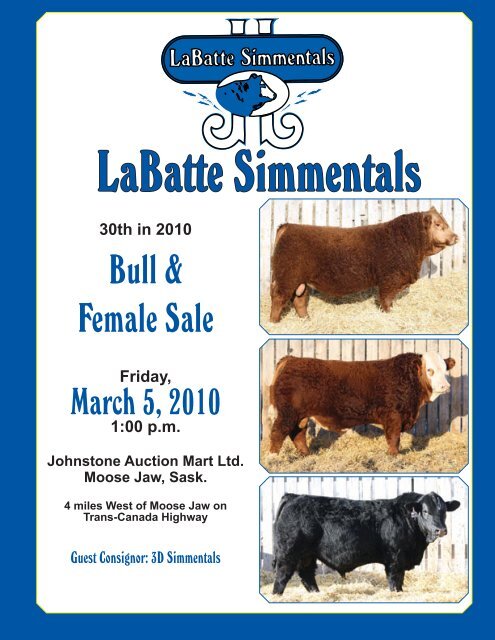 Simmentals - Bouchard Livestock International